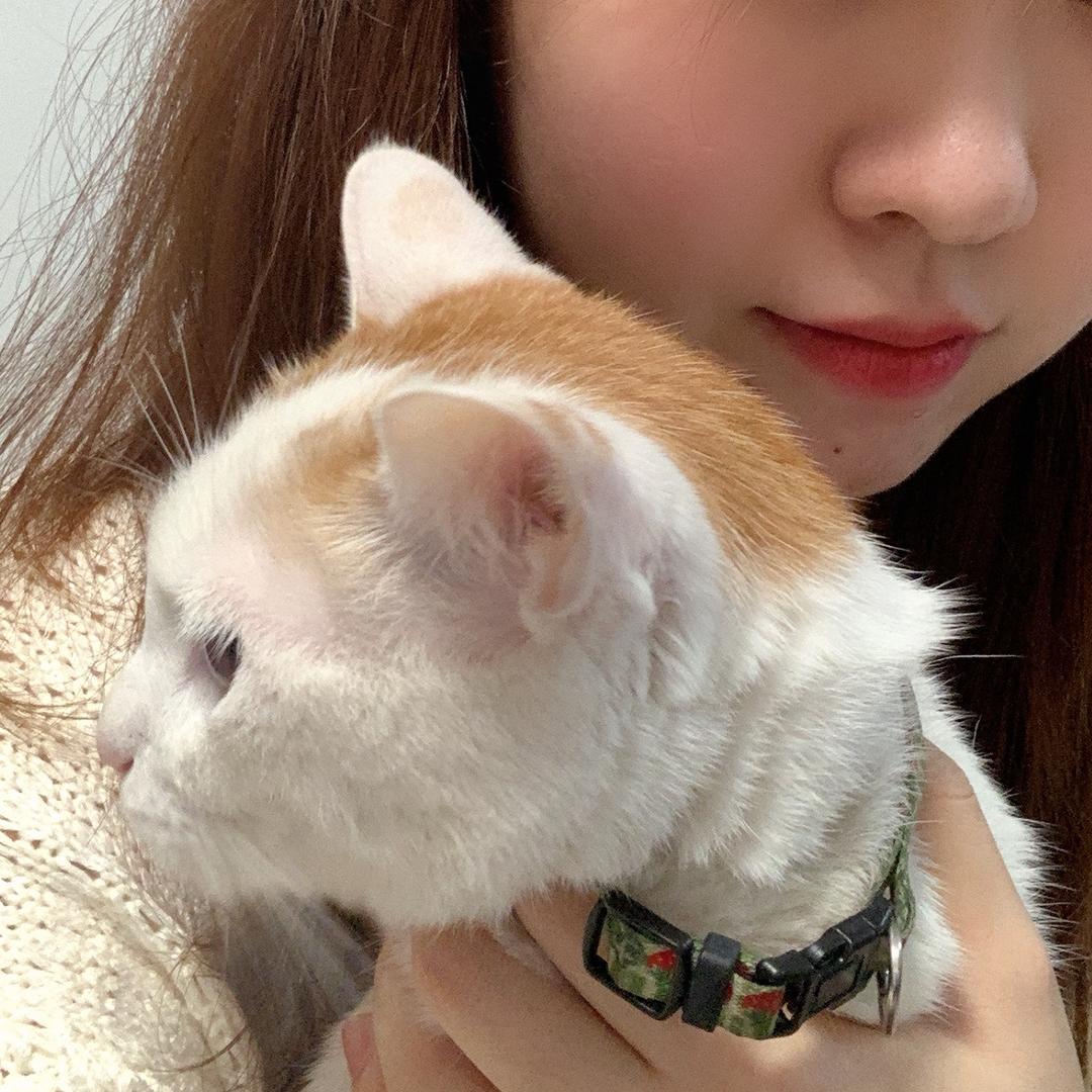 好吃的鱼吃好吃的