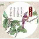 琴弦521