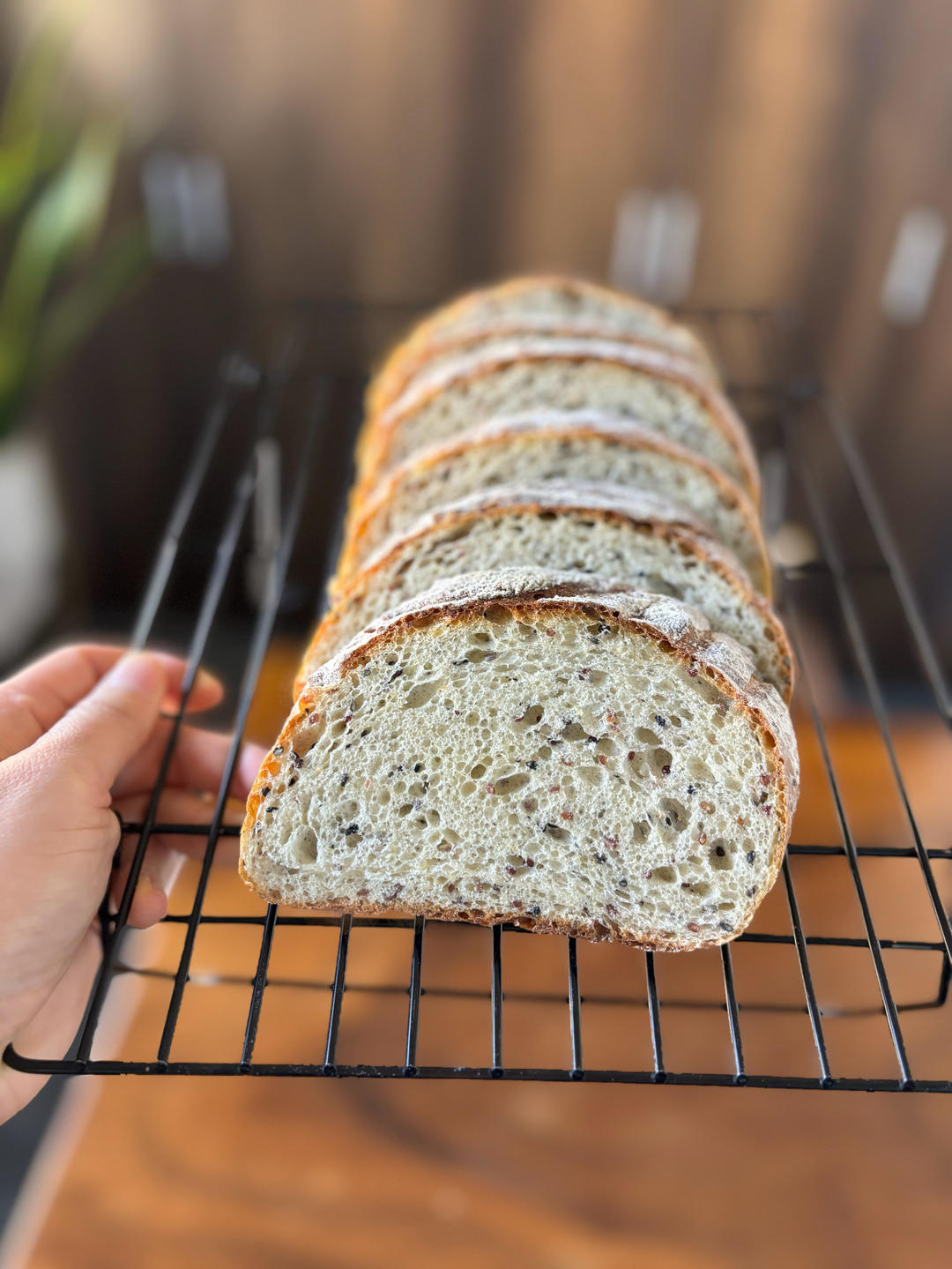 三色藜麦吐司｜最近超爱的一款吐司