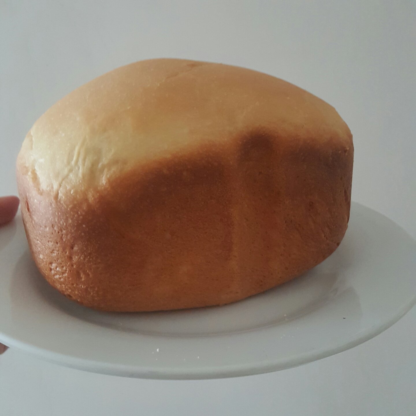 一键式淡奶油吐司面包机版柏翠8500