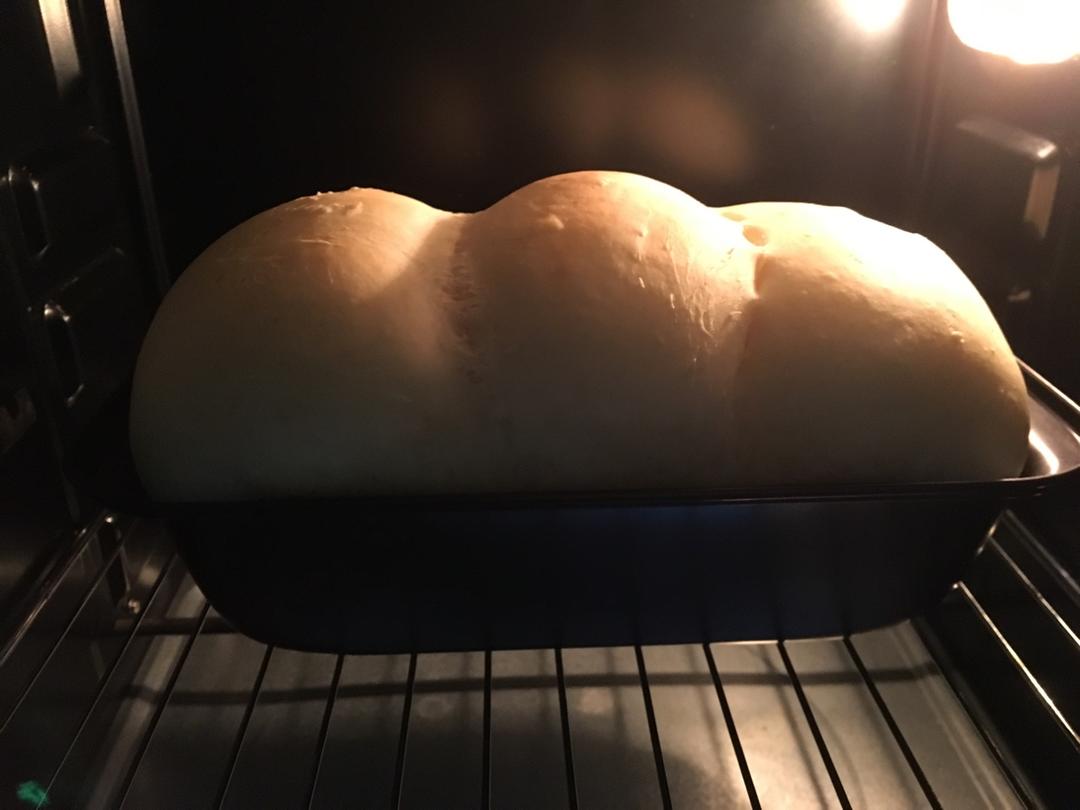 夺命软吐司(๑´ڡ`๑)超软拉丝极速方便的一次发酵吐司