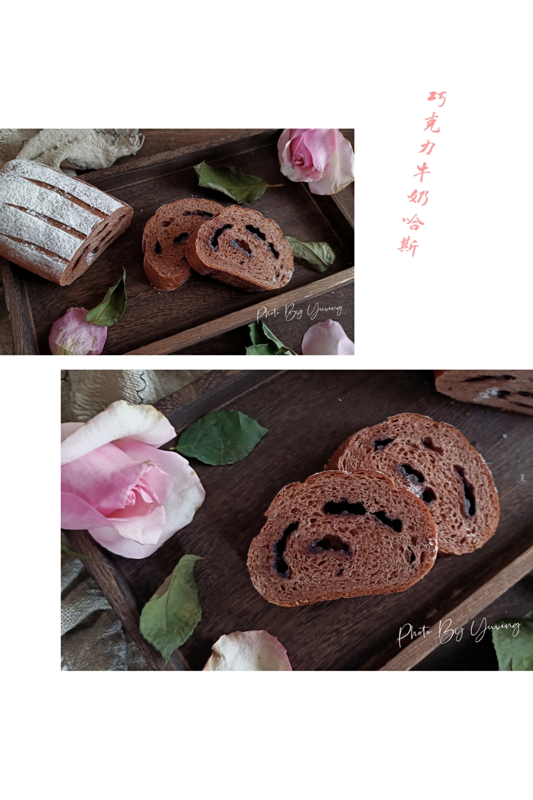 巧克力牛奶哈斯——直接法【松下微蒸烤DS900】的做法
