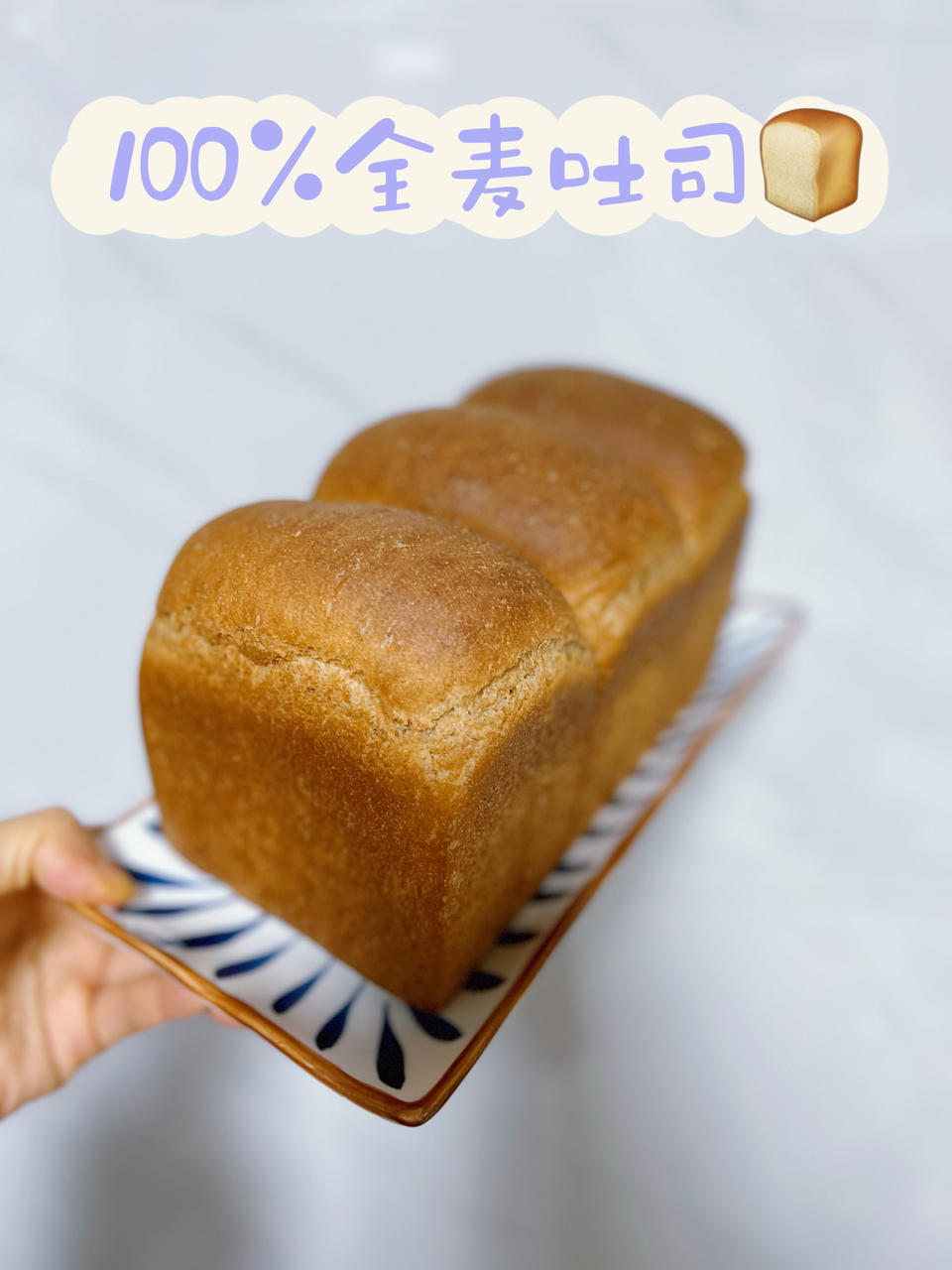 100%纯全麦吐司 汤种全麦