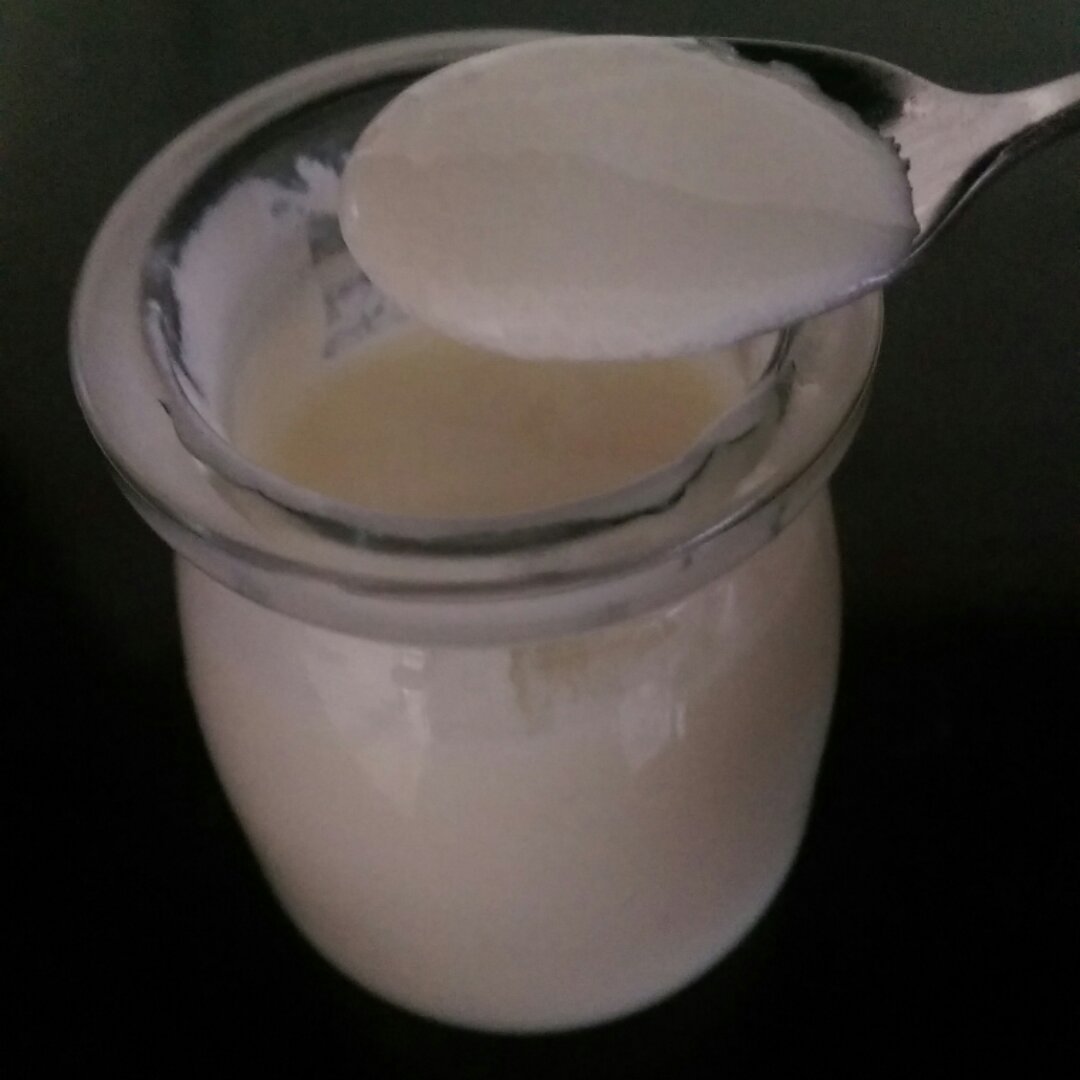 烤箱自制酸奶  Homemade Greek Yoghurt