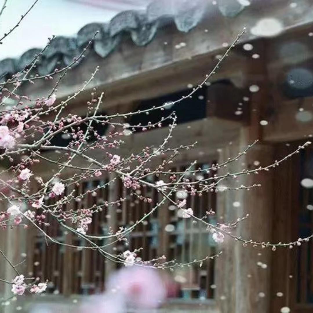 黑就是黑