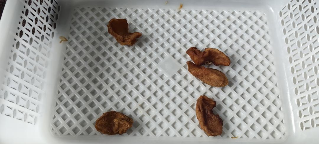 苹果脯，苹果干，酸甜软糯0添加