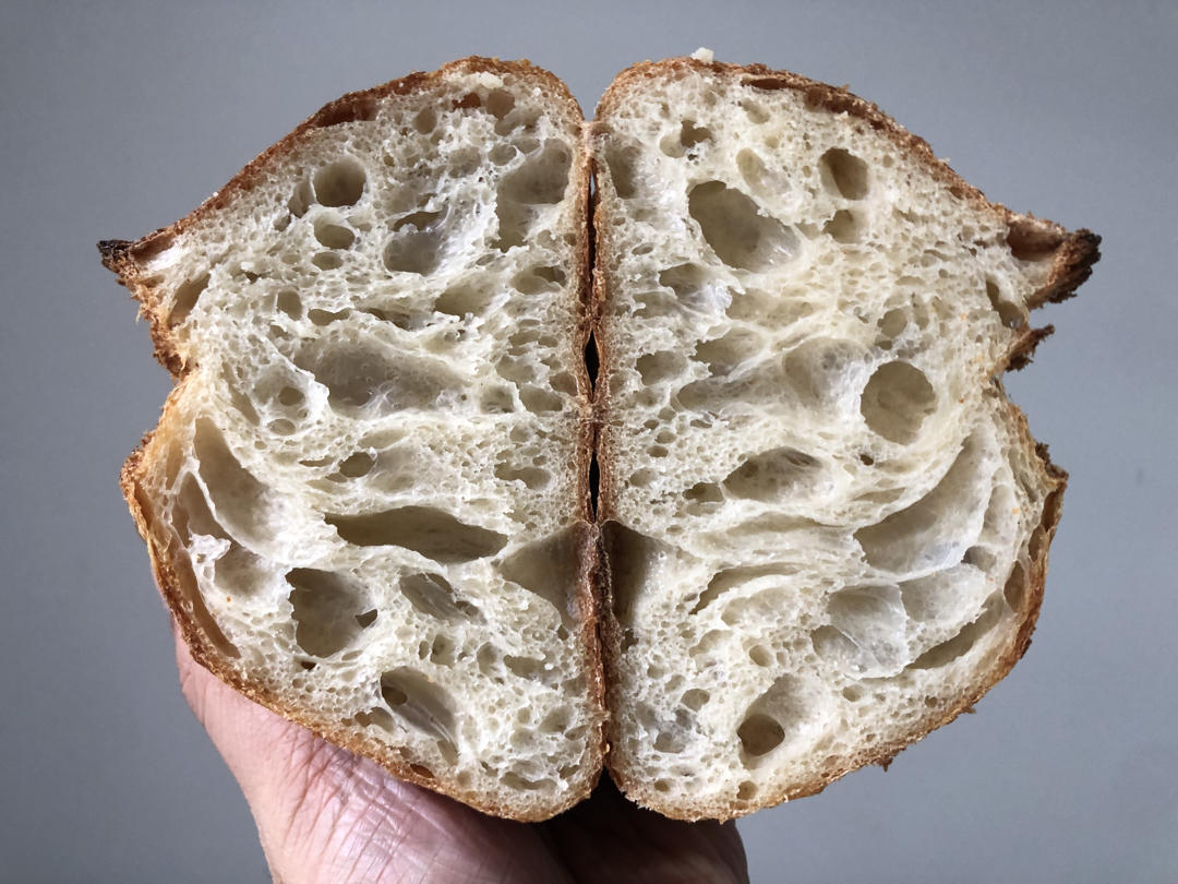 乡村欧包〈法国老面版〉