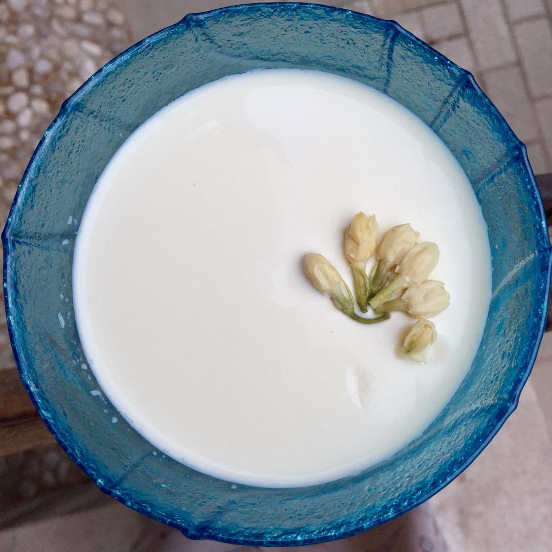 吃豆腐啦！——小嶋老师茉莉奶冻