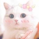 红w燐