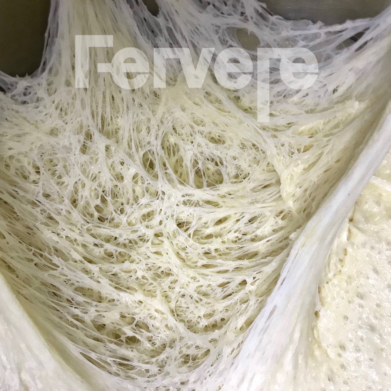 【面包配方】Fermented Dough法式老面的做法 步骤1
