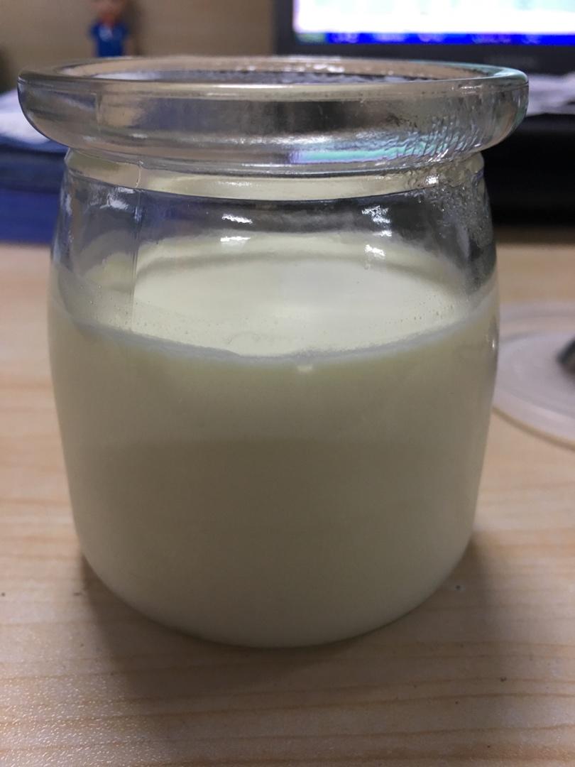 简单易上手 日销100个 意式奶冻