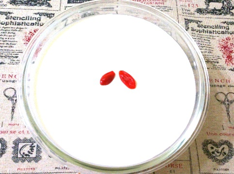 杏仁豆腐