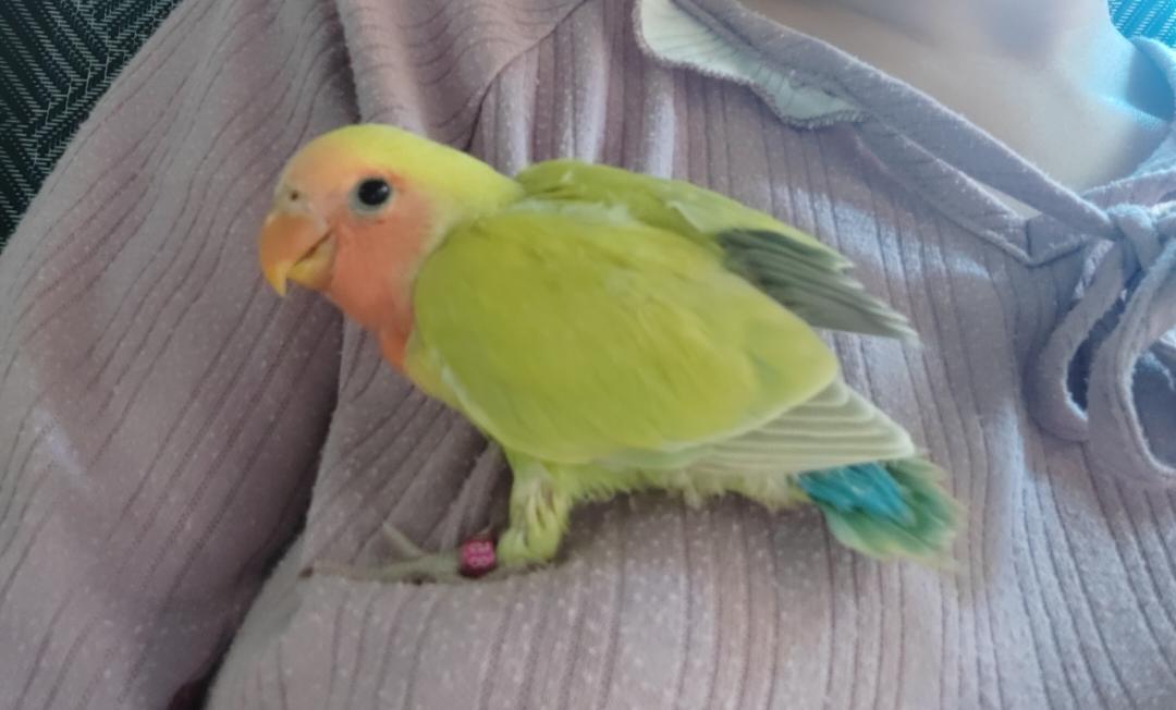 下厨房用户_7mgqa