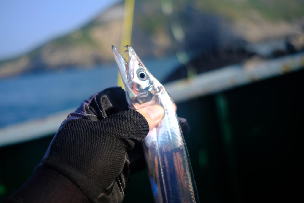 新荣记黄金脆带鱼