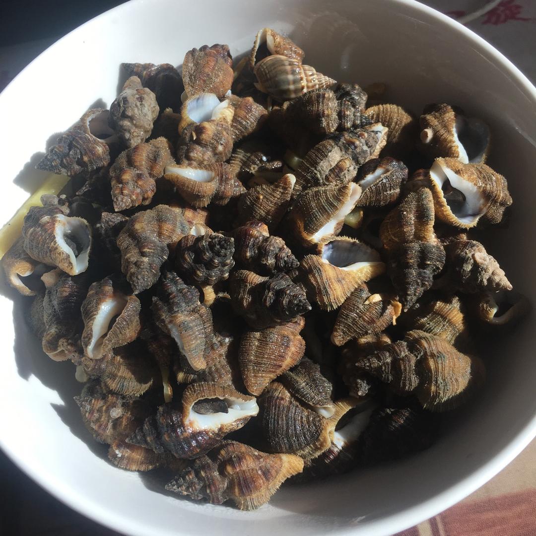 【白灼苦螺图片】哎呦喂呀咦_下厨房