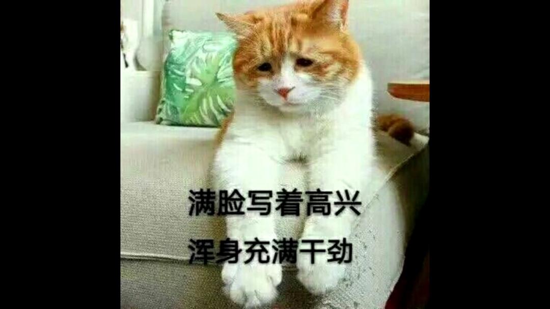 【周明明的厨房】卤肉，卤肉，卤肉！