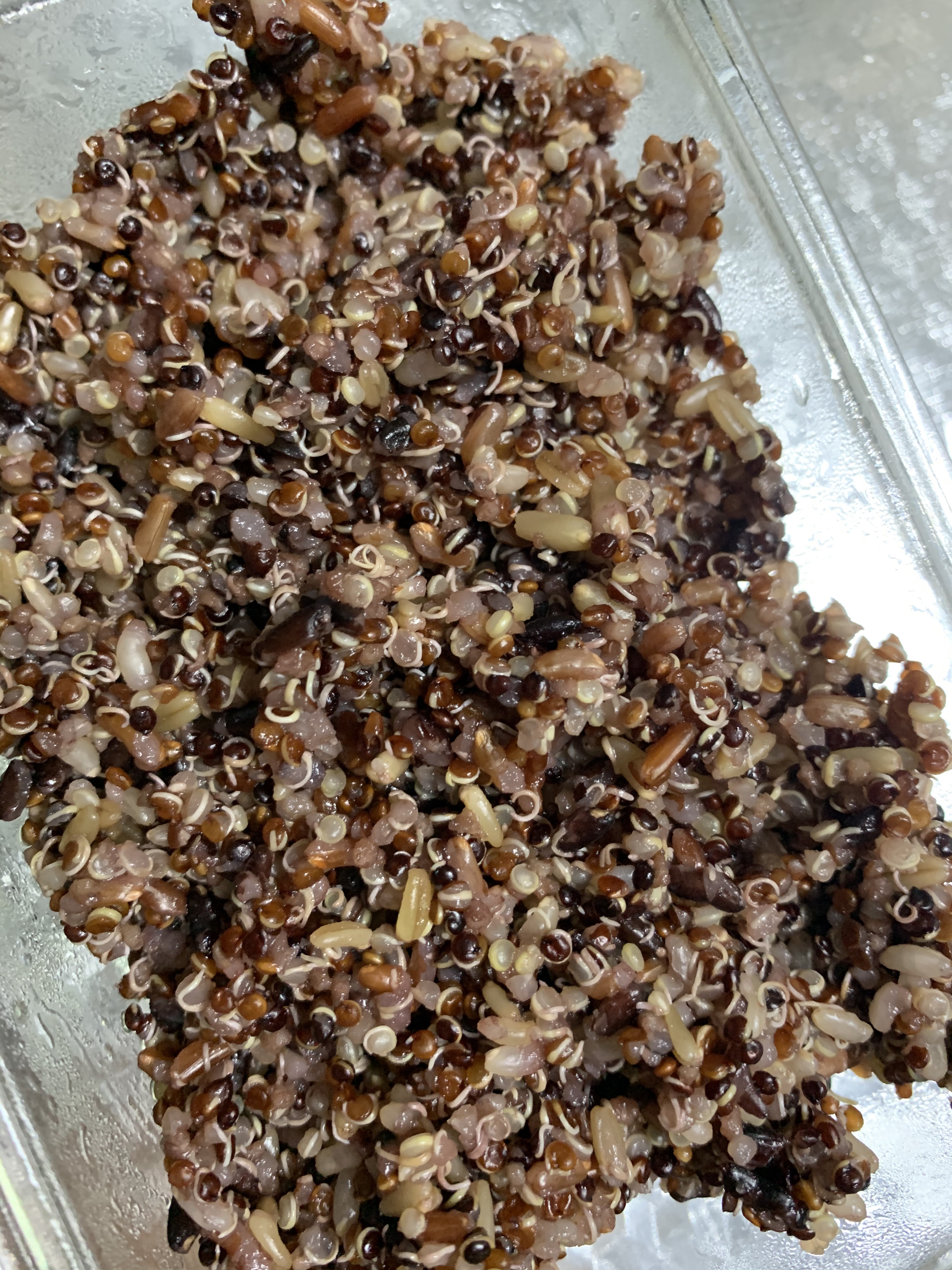 五色糙米藜麦饭的做法
