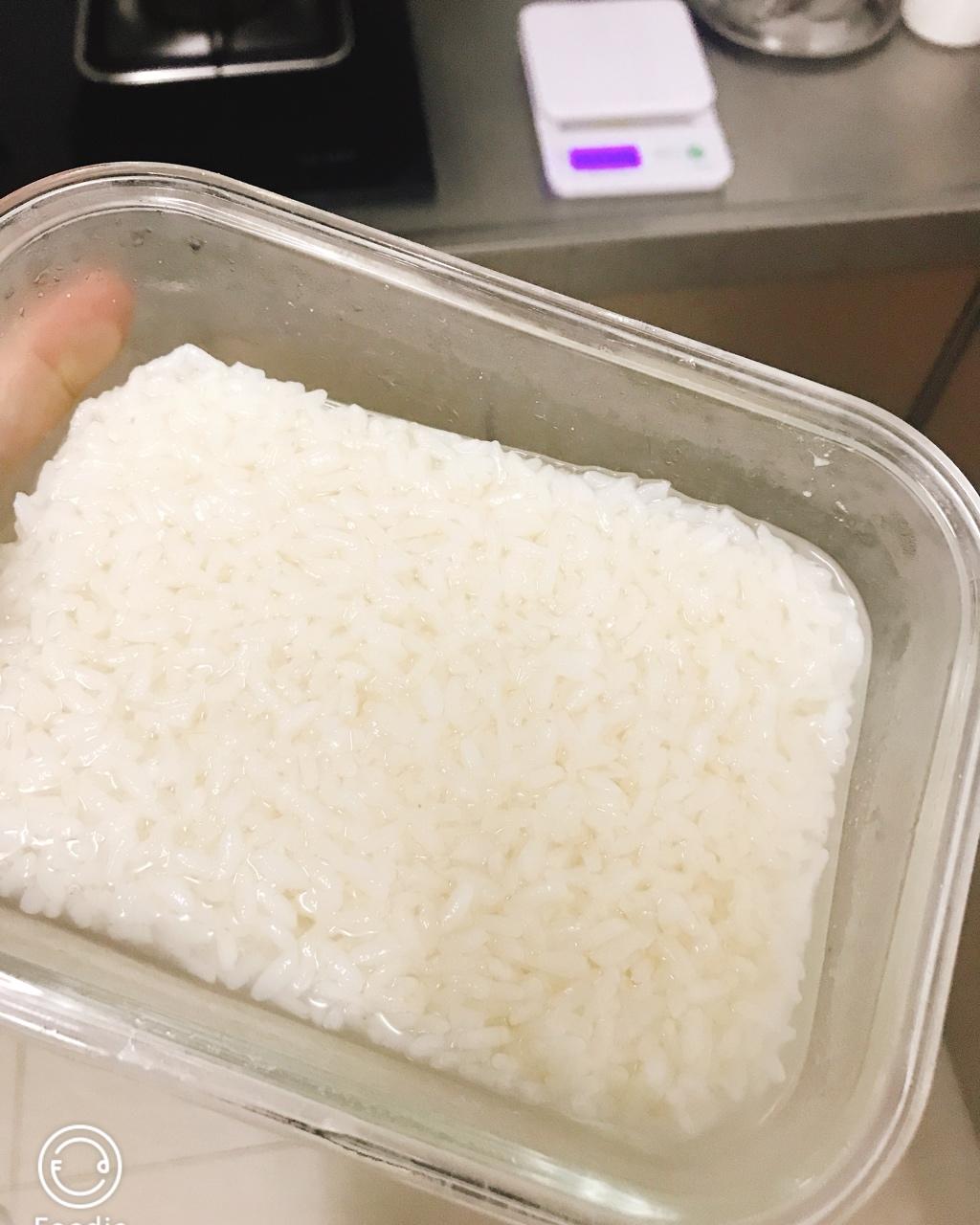 酒酿 (酒酿系列一）