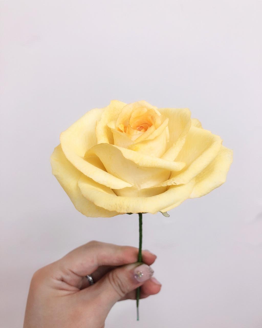 威化纸花