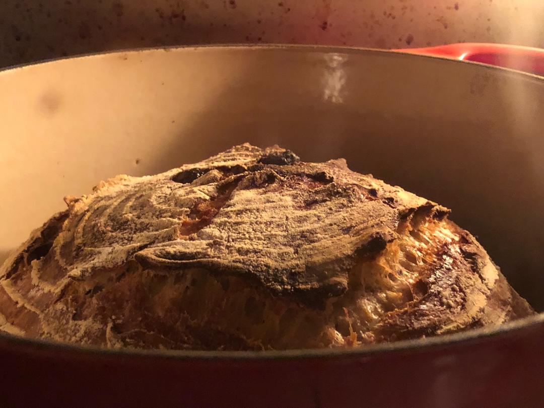 天然酵种肉桂葡萄干核桃欧包（附处理湿面团方法）