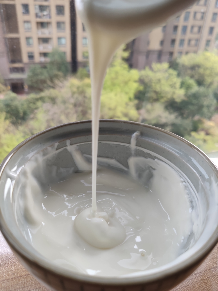 自制酸奶的做法 步骤9