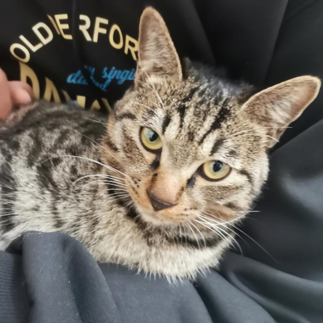 起一个别人没有的名字