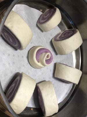 奶香紫薯双色馒头卷的做法 步骤10