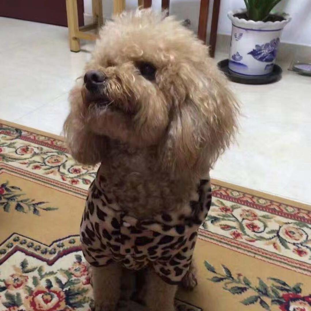 范范的不二厨房