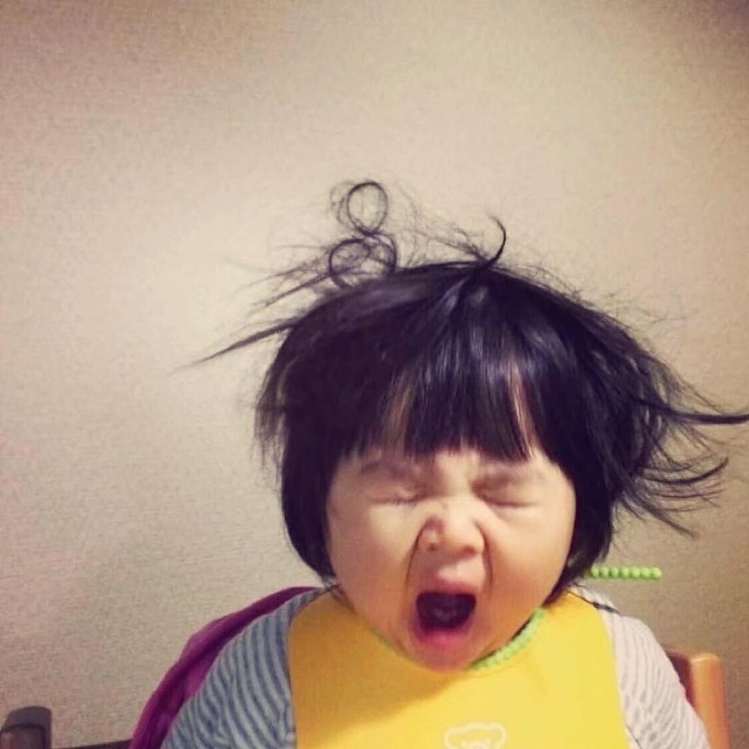 归酱