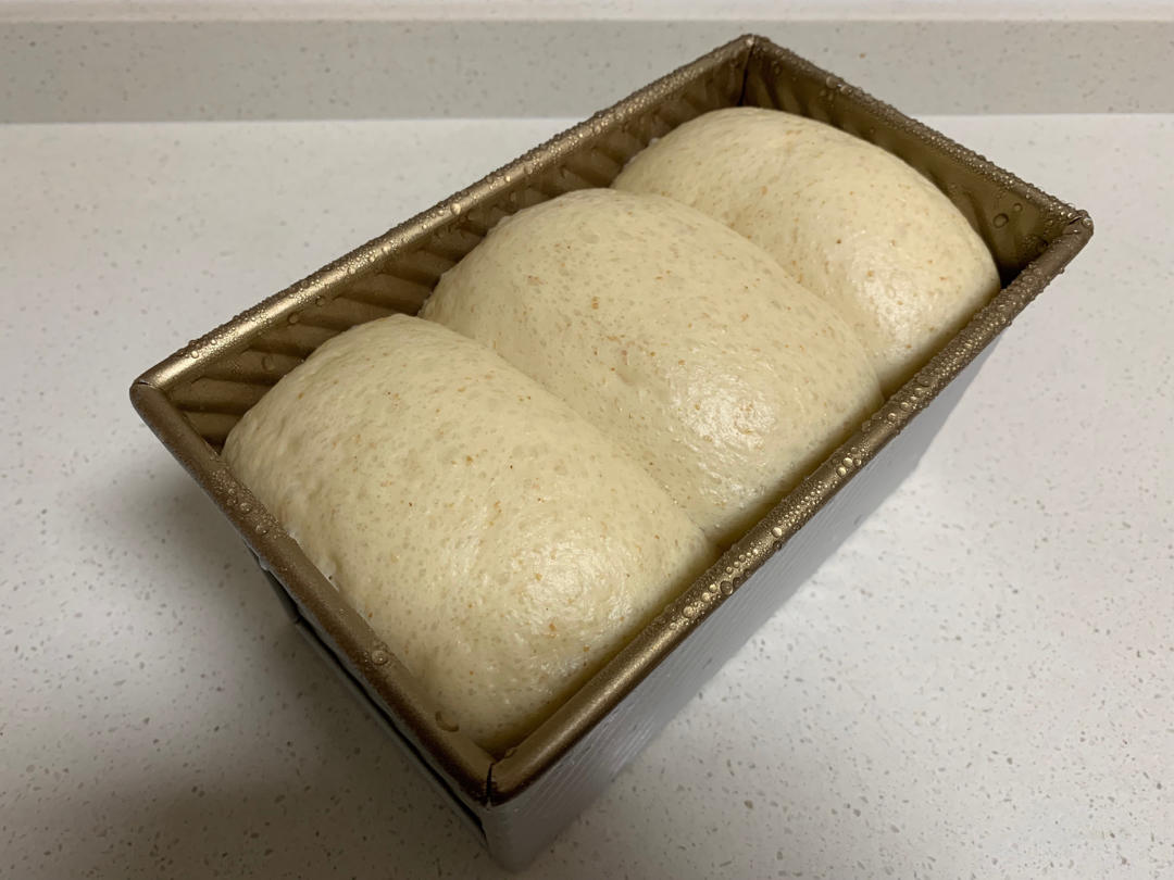 夺命软吐司(๑´ڡ`๑)超软拉丝极速方便的一次发酵吐司