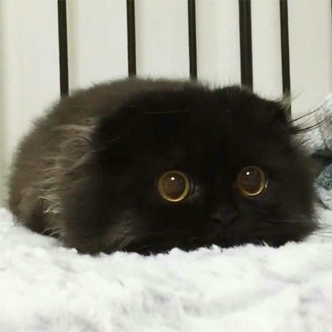 手机用户1178_nt21