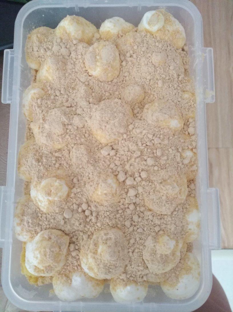 史上最全的豆乳盒子