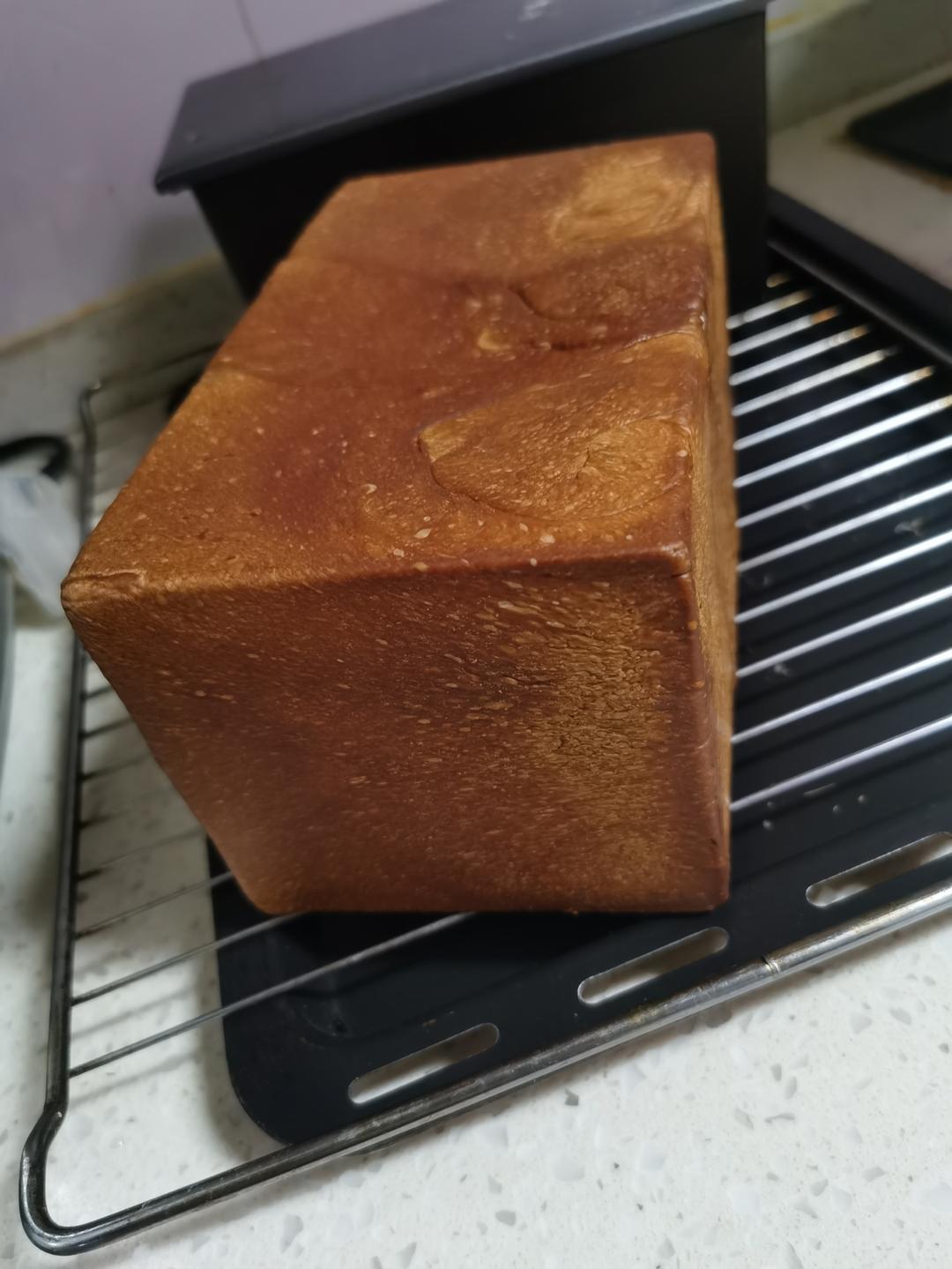 100%中种冷藏发酵