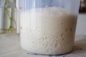 天然酵种味增豆渣欧包的做法 步骤6