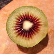 奇异果君君君君