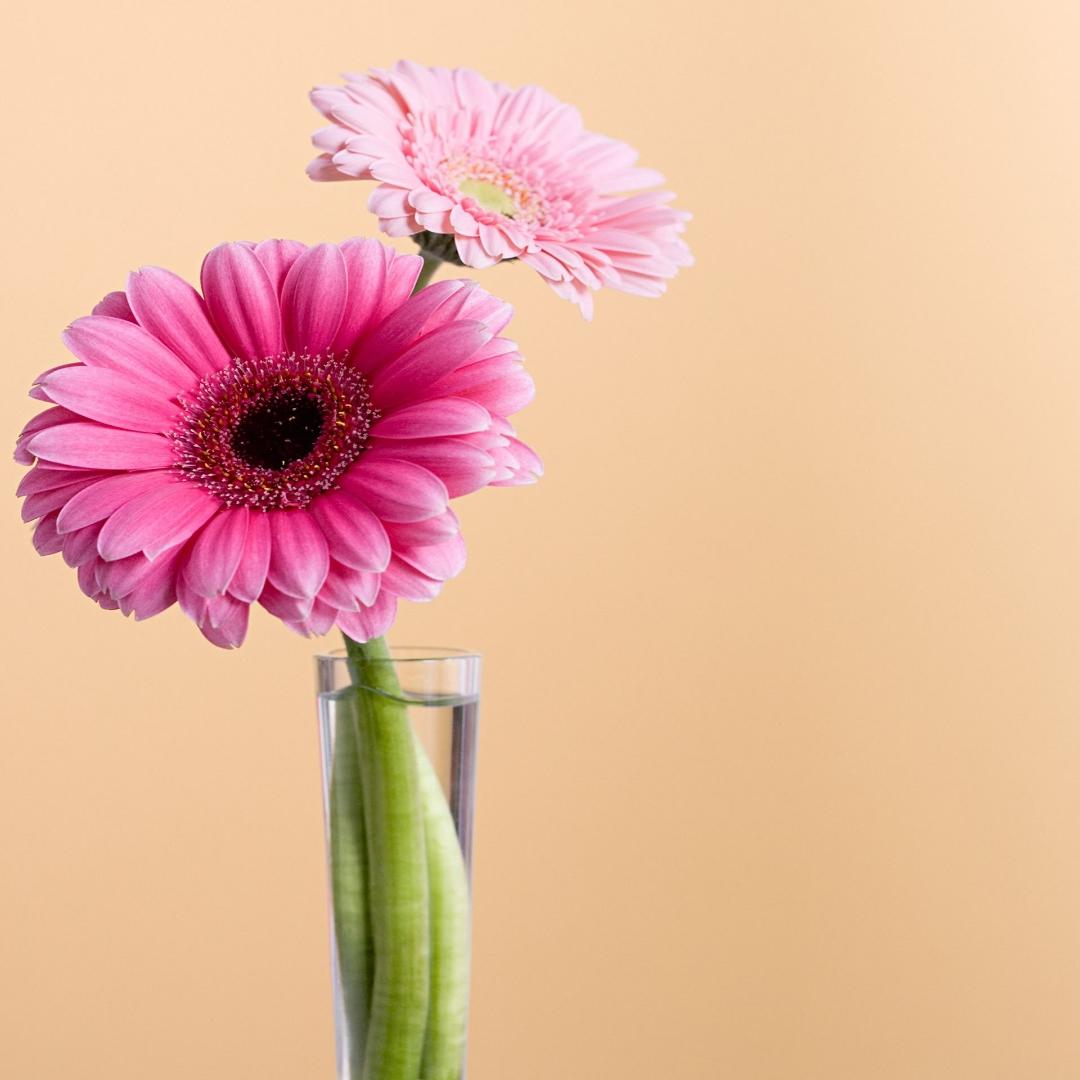 手机用户7775_2v9z的厨房