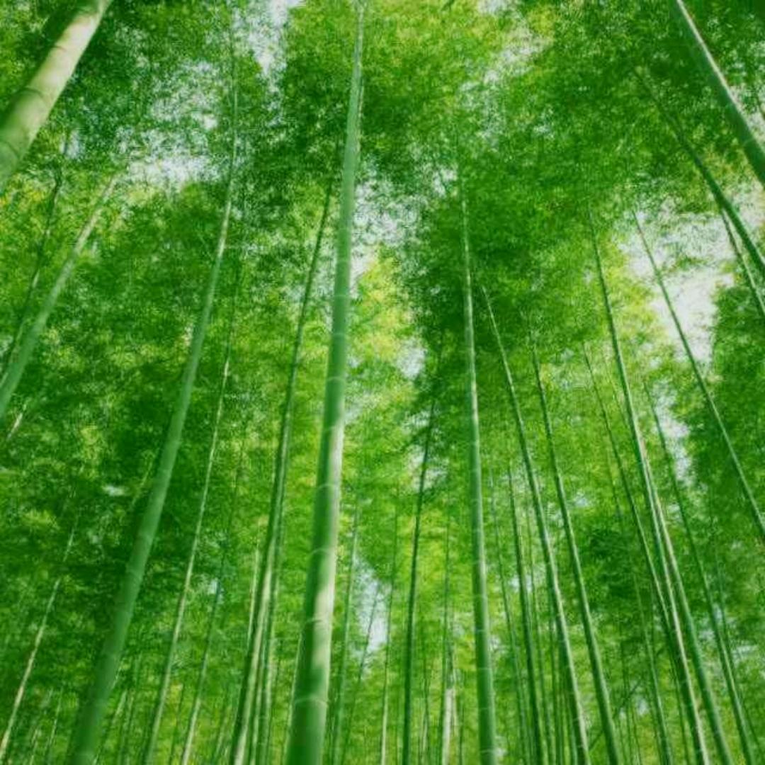 果ai