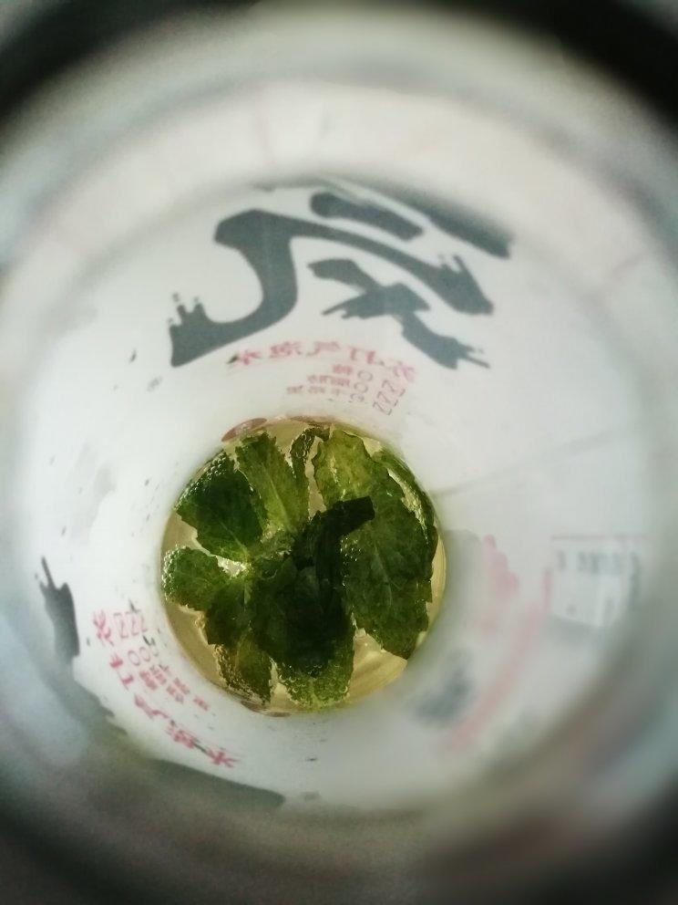 自制❗️鸡尾酒Mojito莫吉托