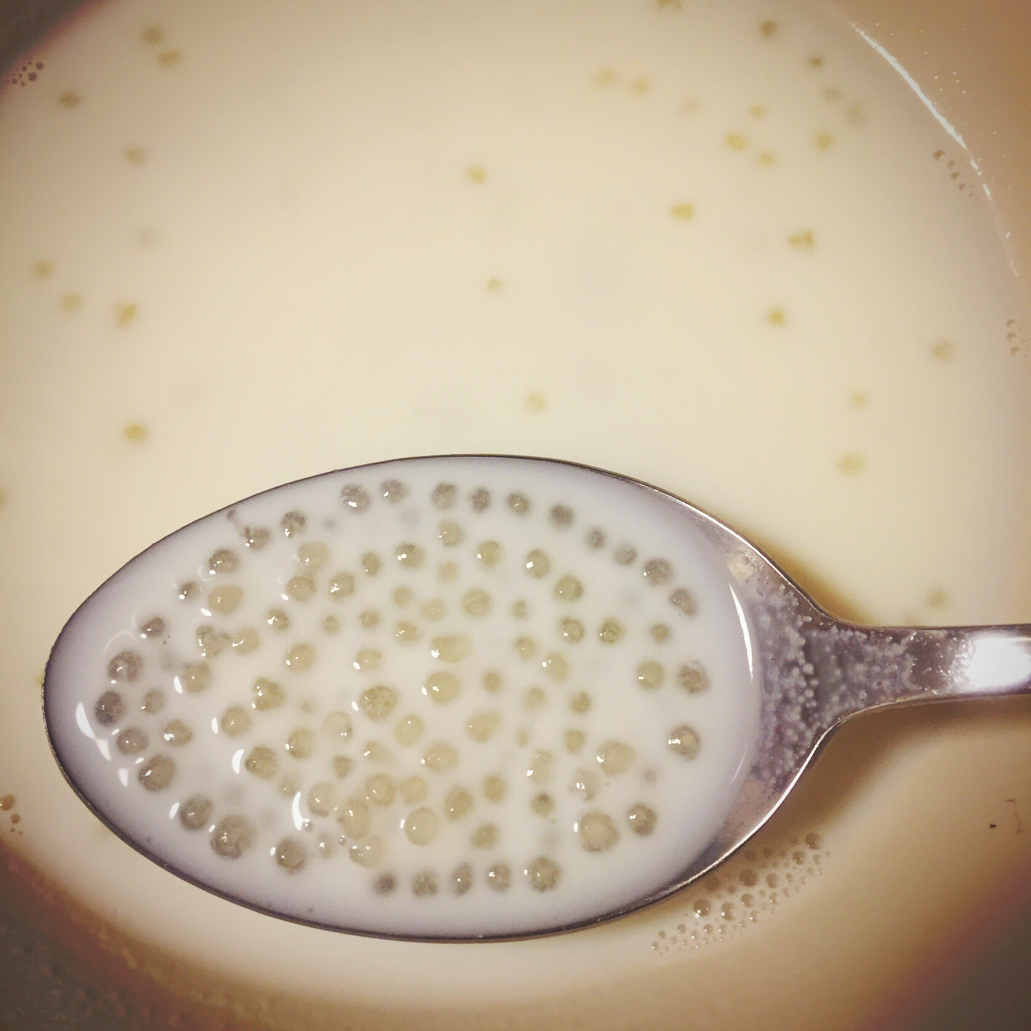 vivian小小小妖做的牛奶果味西米露