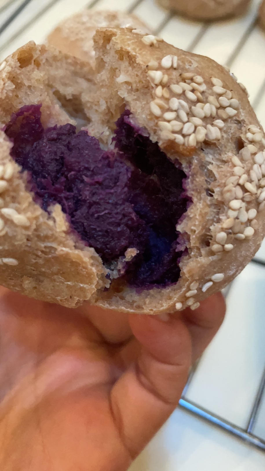 小高姐的免揉土豆面包 汉堡胚