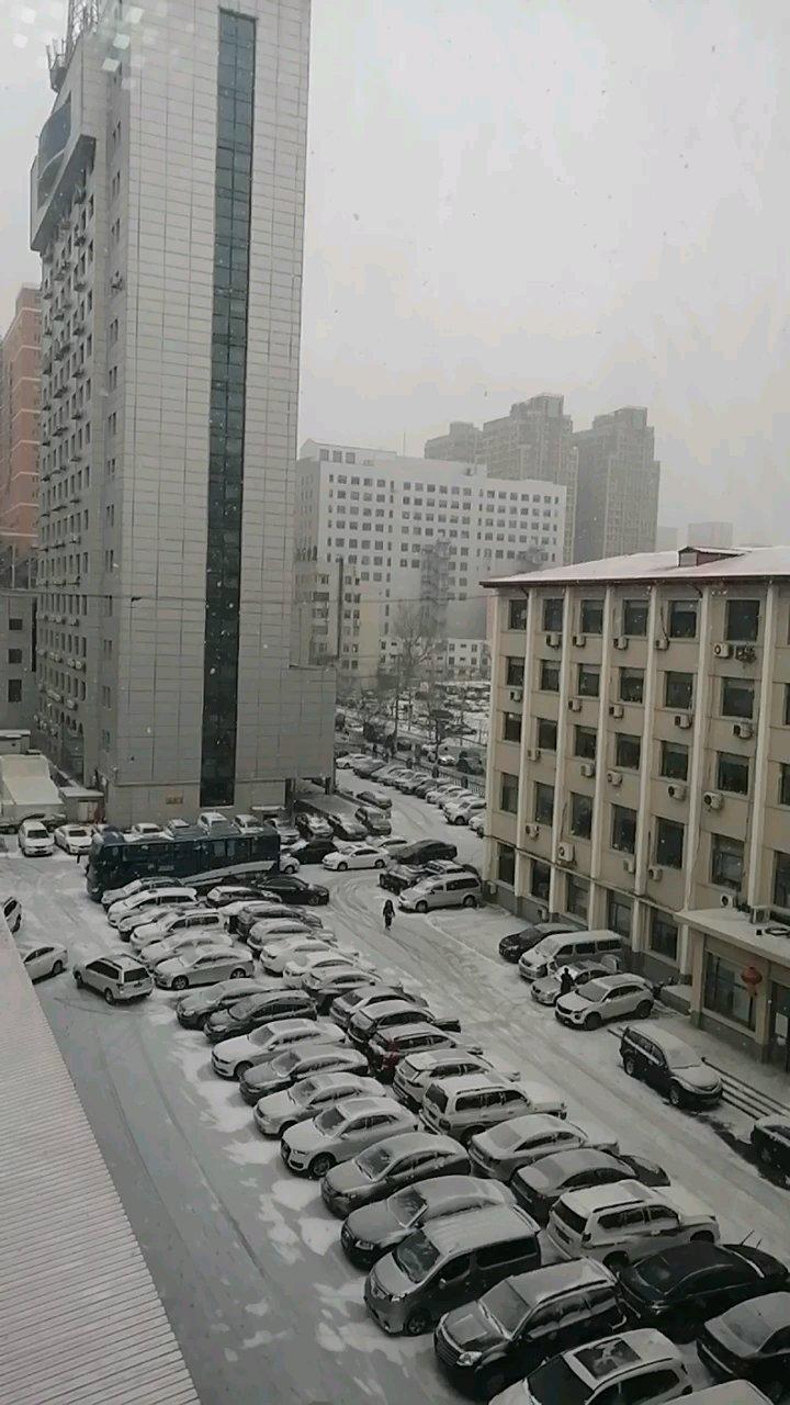 小老鼠一口酥|酥到掉渣