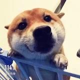 美食无罪已被注册