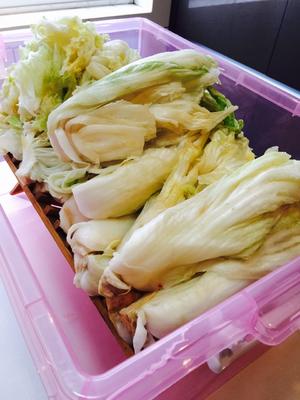 自制韩式泡菜的做法 步骤2