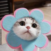 脑洞开到银河系