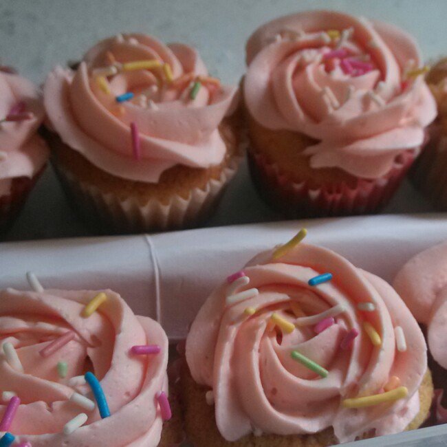 mini cup cake