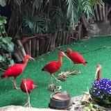 手机用户2602_amu9