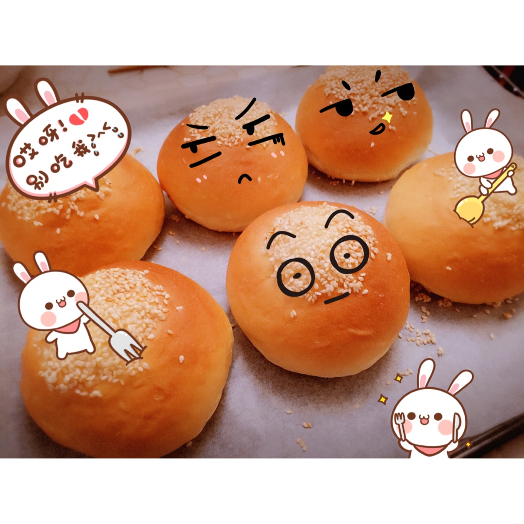 汉堡胚 poolish（波兰种）