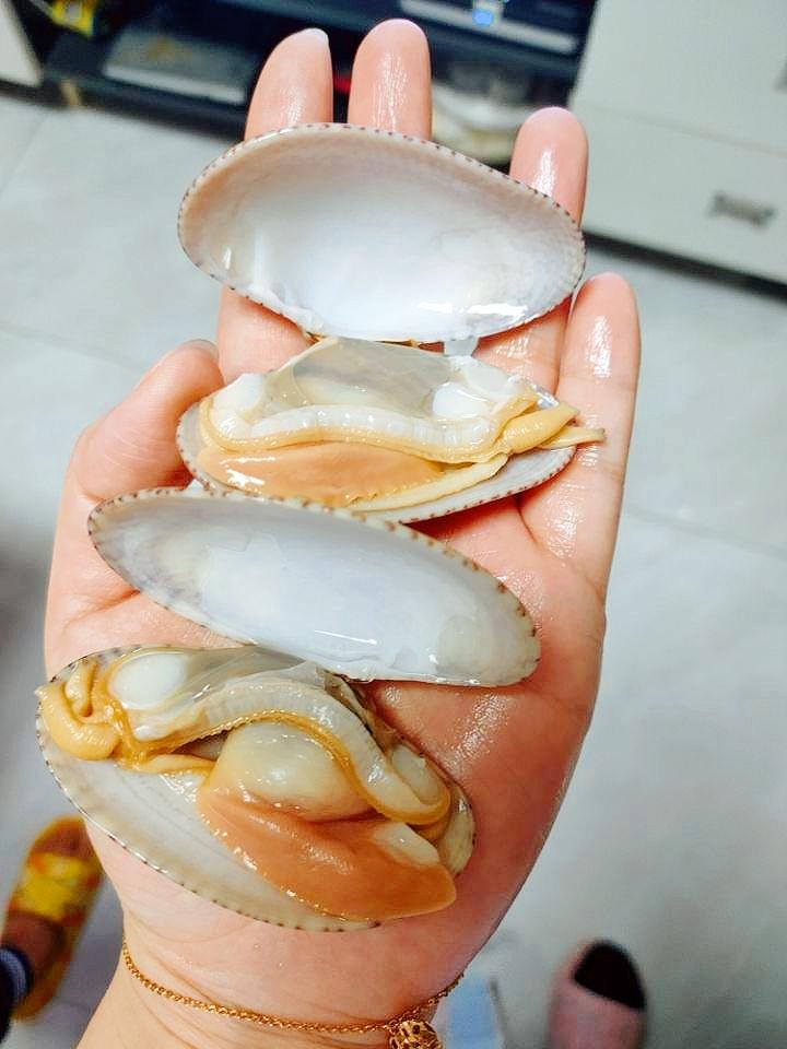 炒花甲王的做法