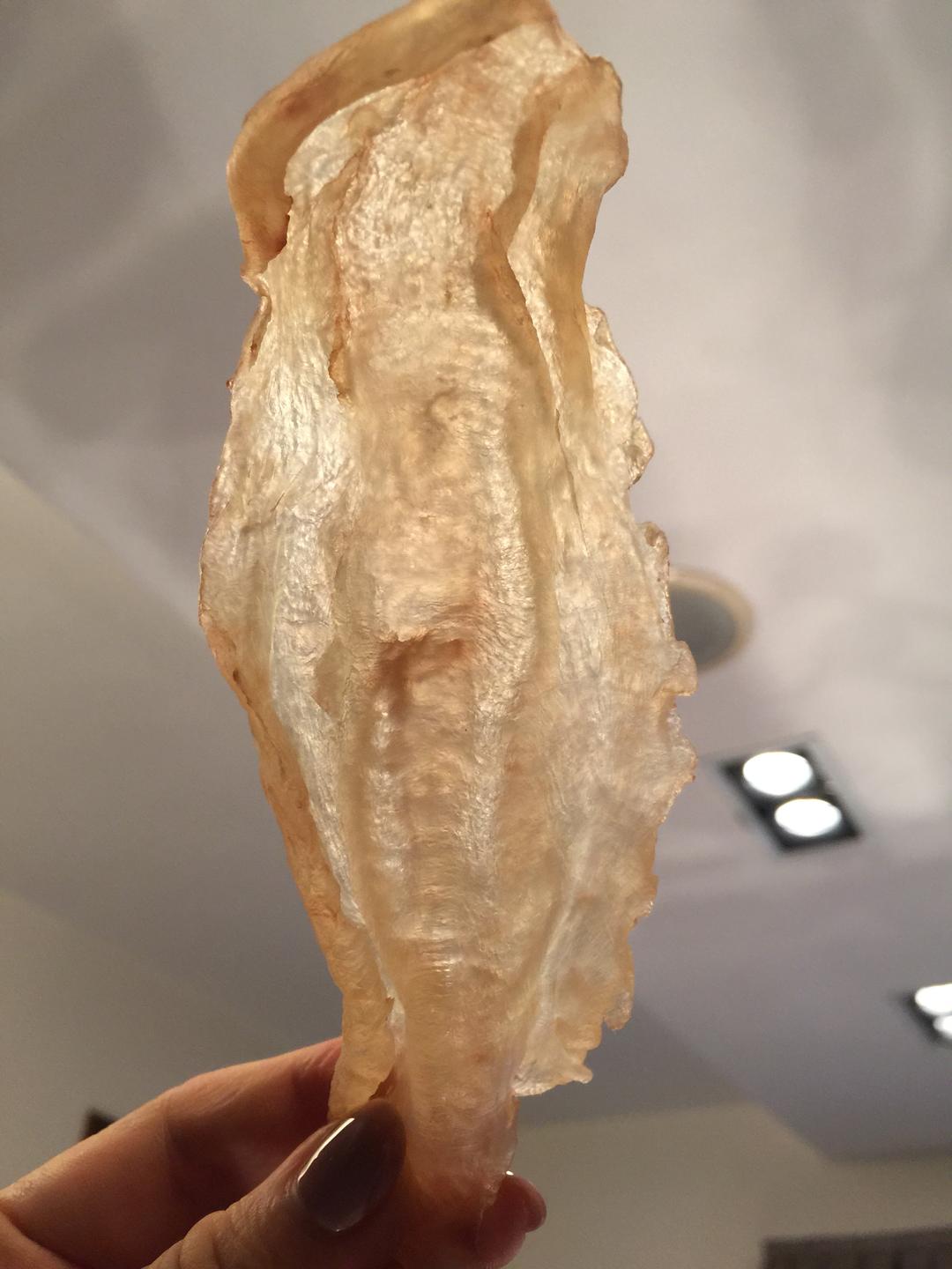 新西兰花胶泡发