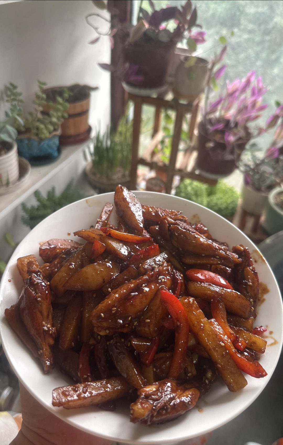 孜然鸡翅土豆条